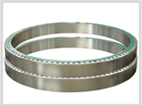 flanges
