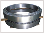 flanges